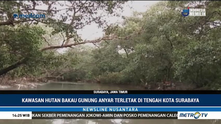 Wisata Sungai ala Amazon di Surabaya