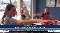 Doga - Doing Yoga With Your Dog