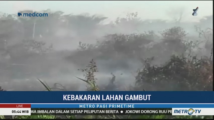 Kebakaran Lahan Gambut di Aceh Barat Semakin Meluas