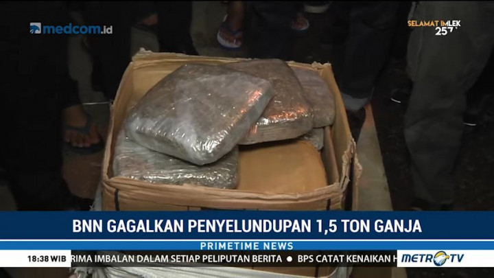 BNN Gagalkan Penyelundupan Ganja 1,5 Ton dari Aceh