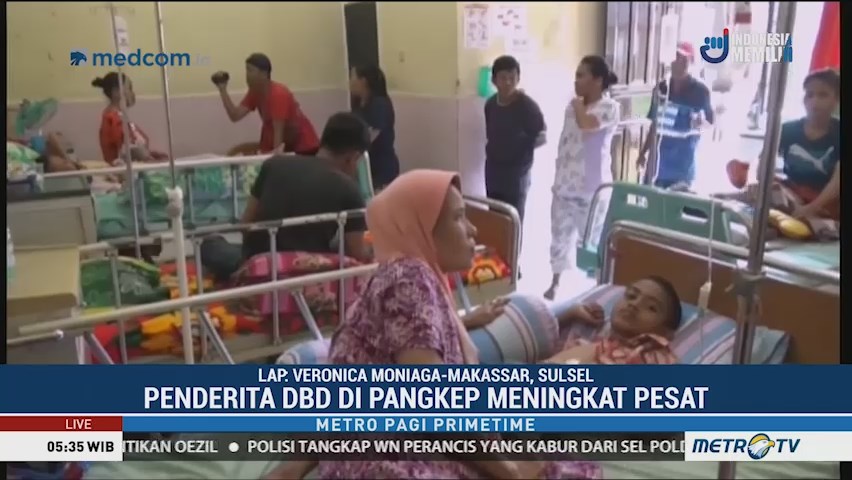 Jumlah Pasien DBD di Kabupaten Pangkep Meningkat Tajam