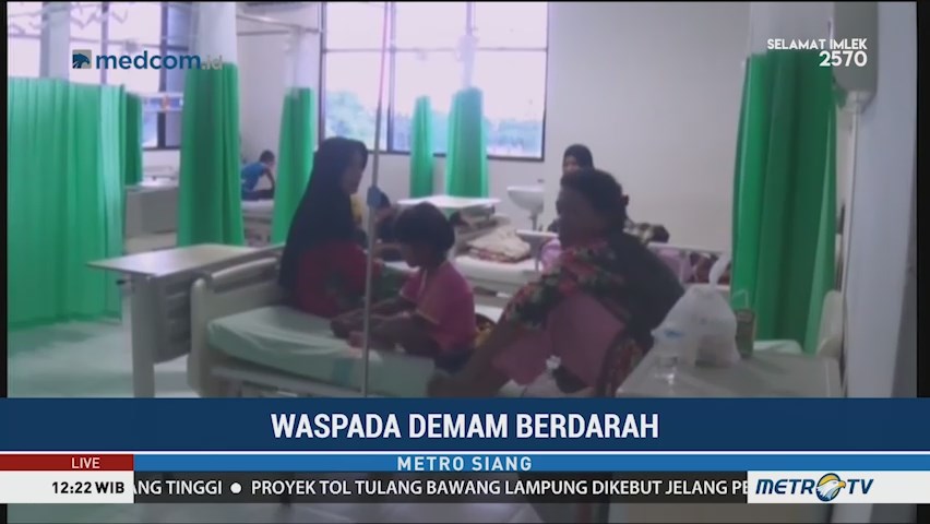 658 Warga Sulsel Terserang DBD, 8 Meninggal Dunia