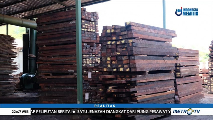 Jaringan Kayu Papua-Surabaya (2)