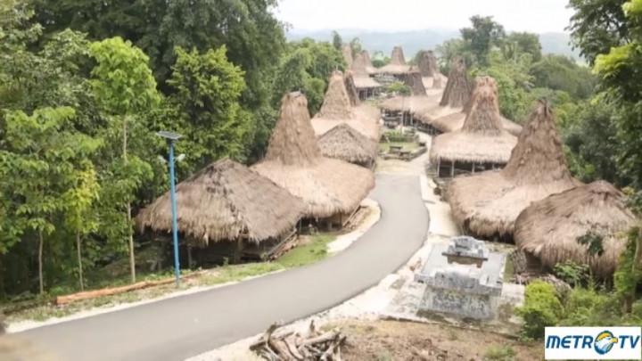 Idenesia - Ragam Tradisi di Tanah Marapu (2)