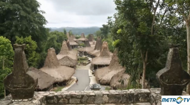 Highlight Idenesia - Ragam Tradisi di Tanah Marapu