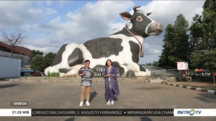 Potret Cantik Boyolali, New Zealand Van Java (1)