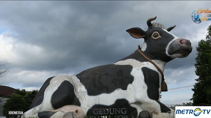 Highlight Idenesia - Potret Cantik Boyolali, New Zealand Van Java