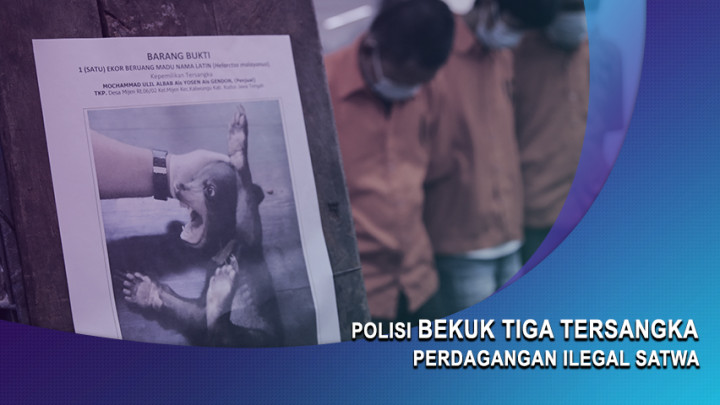 Polisi Bekuk Tiga Tersangka Perdagangan Ilegal Satwa