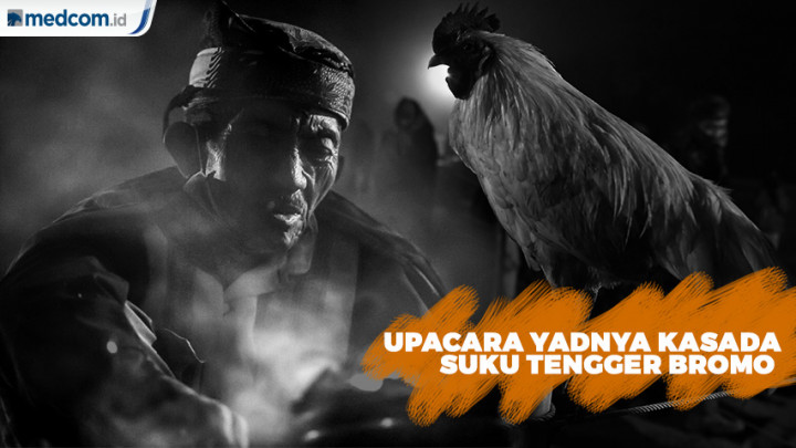 Serunya Upacara Yadnya Kasada Suku Tengger Bromo