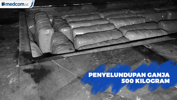 Penyelundupan Setengah Ton Ganja di Tanjung Priok