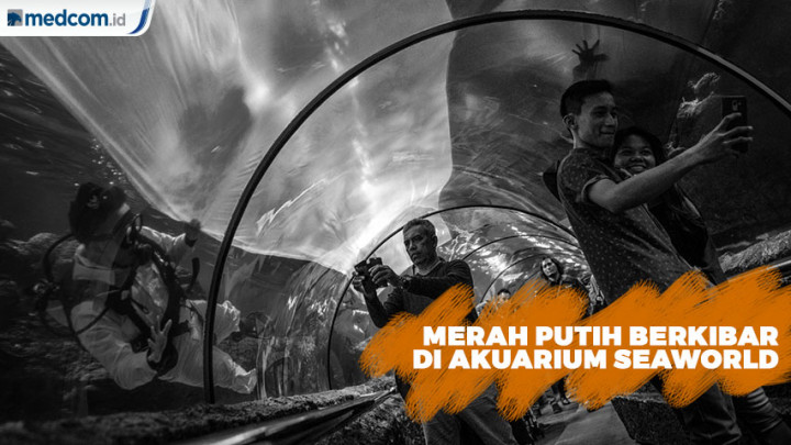 Merah Putih Berkibar di Akuarium Seaworld