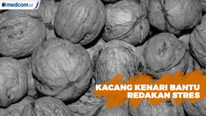 Makan Kacang Kenari Bantu Redakan Stres
