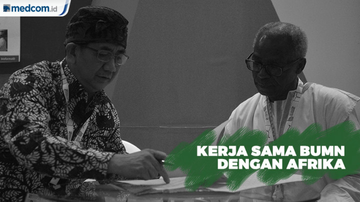Kerja Sama BUMN dengan Afrika Bernilai Rp11,7 Triliun