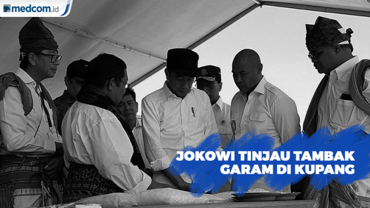 Kunjungi NTT, Jokowi Tinjau Tambak Garam