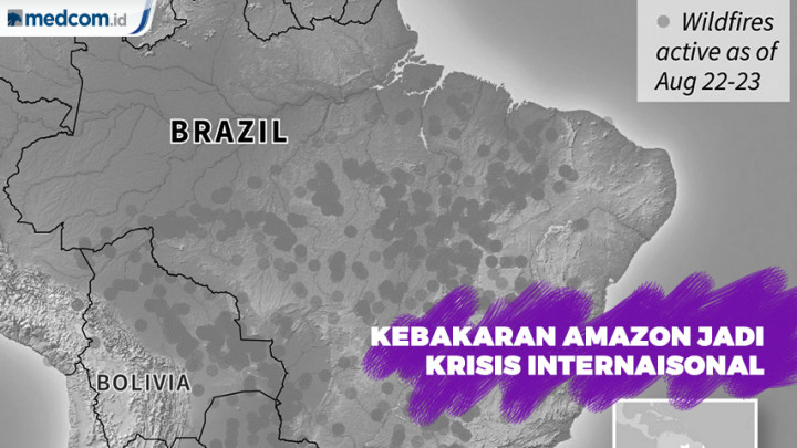 Kebakaran Amazon Menjadi Krisis Internasional