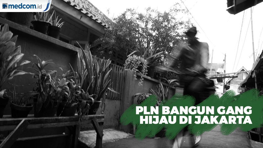 Ciptakan Pemukiman Sehat, PLN Luncurkan Program Gang Hijau