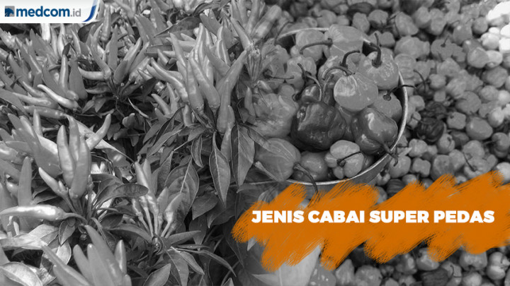 5 Jenis Cabai Pedas di Beberapa Daerah di Indonesia