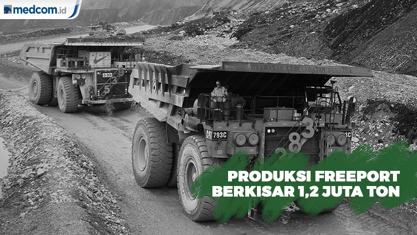 Produksi Freeport Berkisar 1,2 Juta Ton