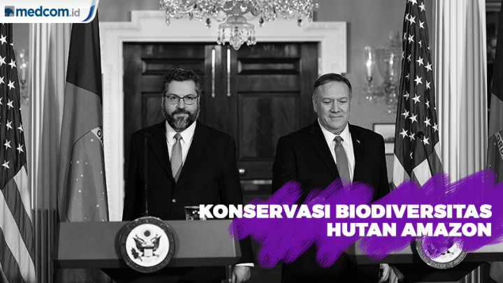 Konservasi Biodiversitas Hutan Amazon