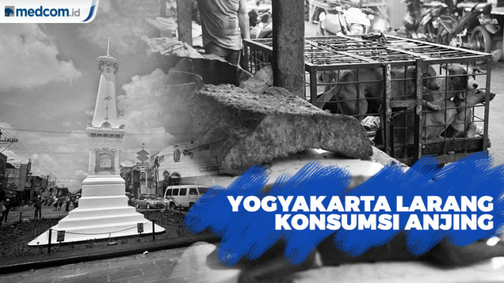 Larang Konsumsi Anjing, Pemkot Yogyakarta keluarkan Aturan