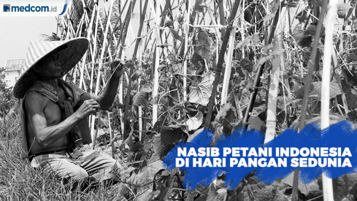 Nasib Petani Indonesia di Hari Pangan Sedunia