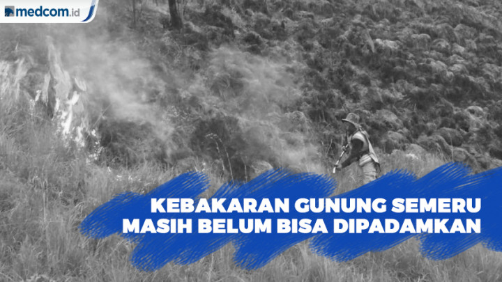 Akibat Angin Kencang, Kebakaran Gunung Semeru Belum Bisa Dipadamkan