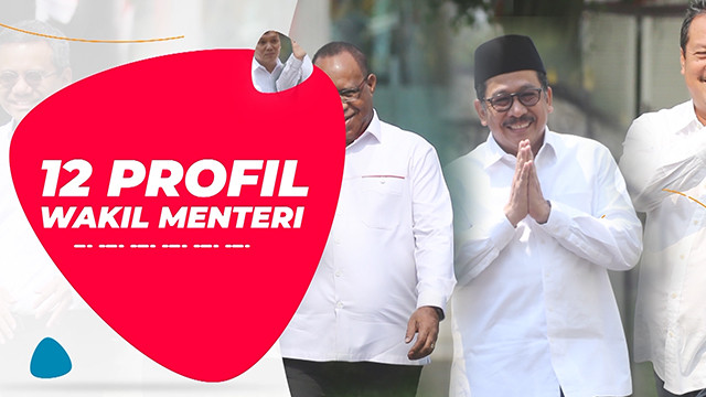 Profil Wakil Menteri Indonesia