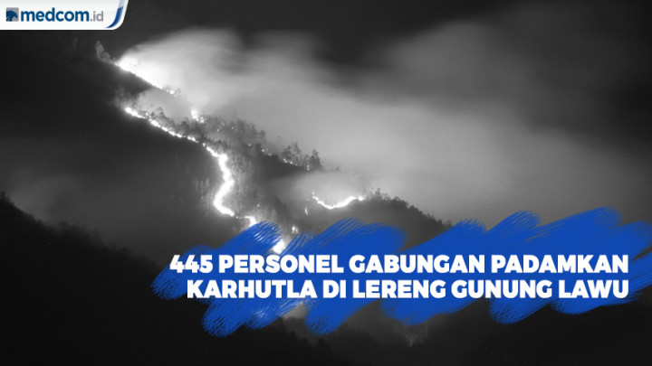 445 Personel Gabungan Padamkan Kebakaran Hutan di Lereng Gunung Lawu