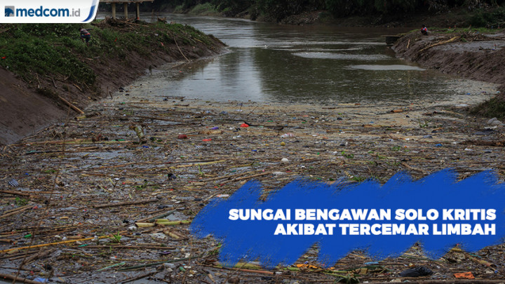 Sungai Bengawan Solo Kritis Akibat Tercemar Limbah Perusahaan