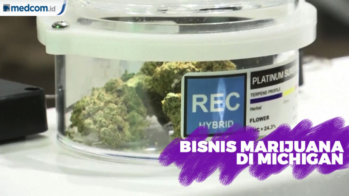 Michigan Legalkan Marijuana untuk Rekreasi