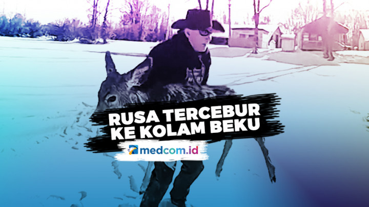 Bermodalkan Tali, Sheriff Selamatkan Rusa dari Kolam Beku