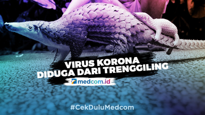 Ilmuan Tiongkok Duga Virus Korona Disebarkan Melalui Trenggiling