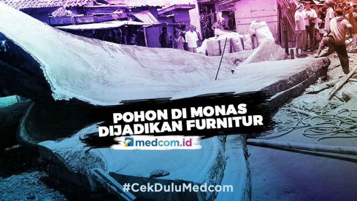 Pohon yang Jadi Korban Revitalisasi Monas Dijadikan Furnitur