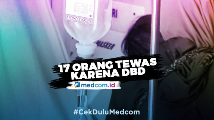 17 Orang di Jateng Meninggal karena DBD
