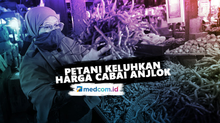 Petani Cabai Keluhkan Harga Cabai Anjlok