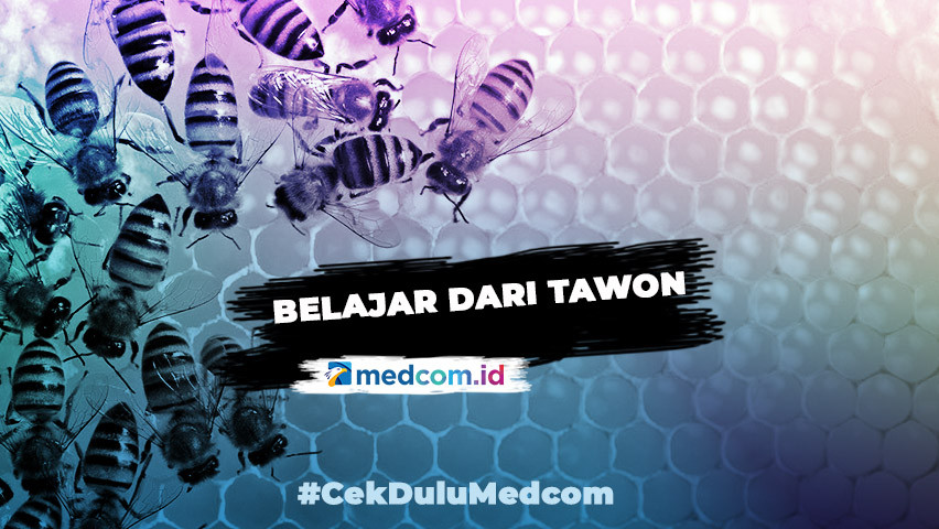 Hikmah Ramadan: Belajar dari Tawon