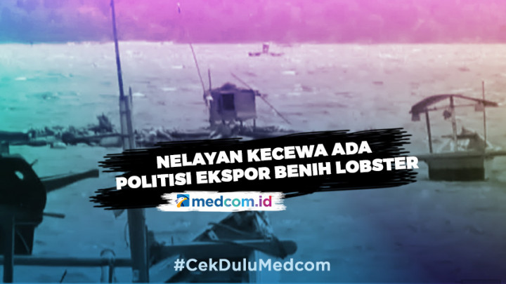 Nelayan Kecewa Ada Politisi Dapat Jatah Ekspor Benih Lobster