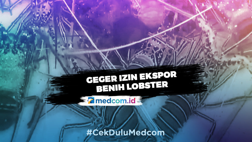Geger Izin Ekspor Benih Lobster - Highlight Prime Talk Metro TV