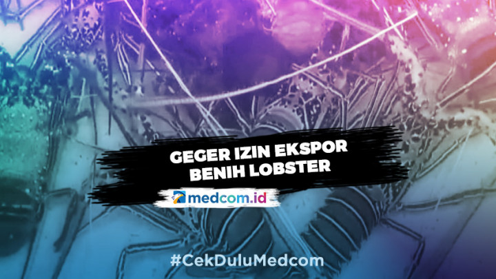 Geger Izin Ekspor Benih Lobster - Highlight Prime Talk Metro TV