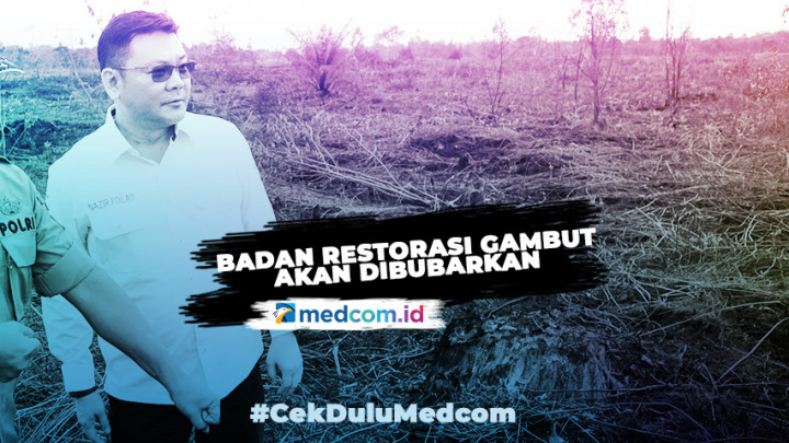 Badan Restorasi Gambut Masuk Daftar yang akan Dibubarkan Jokowi