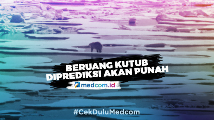 Beruang Kutub Diprediksi Punah Tahun 2100
