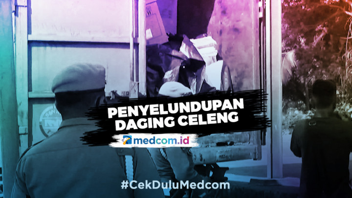 Polisi Gagalkan Penyelundupan 1,1 Ton Daging Celeng