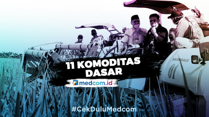 11 Komoditas Dasar Jadi Prioritas di Era Pandemi COVID-19