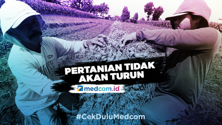Mentan Jamin Produktivitas Pertanian Tidak Turun