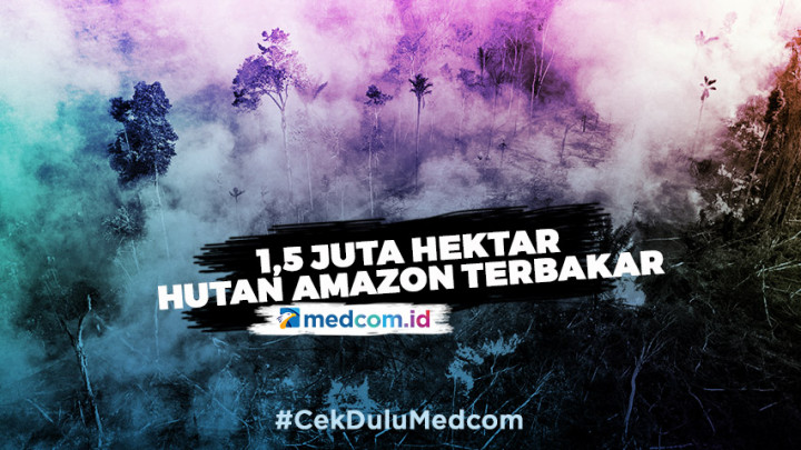 1,5 Juta Hektar Hutan Amazon Terbakar