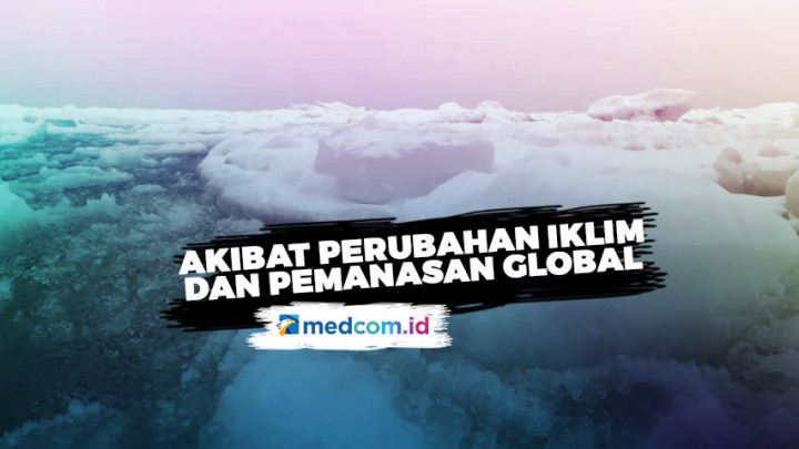 Lapisan Es Cair, Penetili Sebut Air Laut akan Meningkat hingga 38 Cm