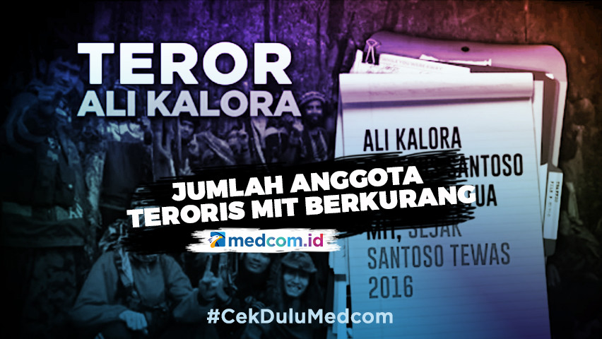 Kelompok Ali Kalora Kembali Beraksi, Pengamat: Mereka Terdesak