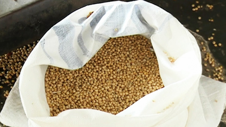 Harga Kedelai Dunia Naik 100 Persen Sejak Mei 2020