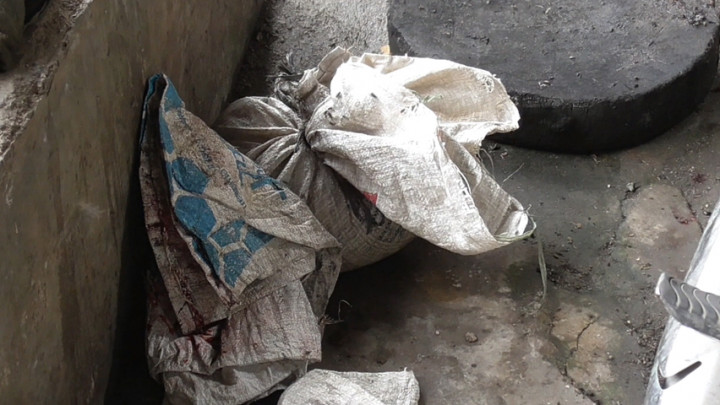 Viral Penjagalan dan Penjualan Kucing, Polda Sumut: Kasus Sudah Diselidiki