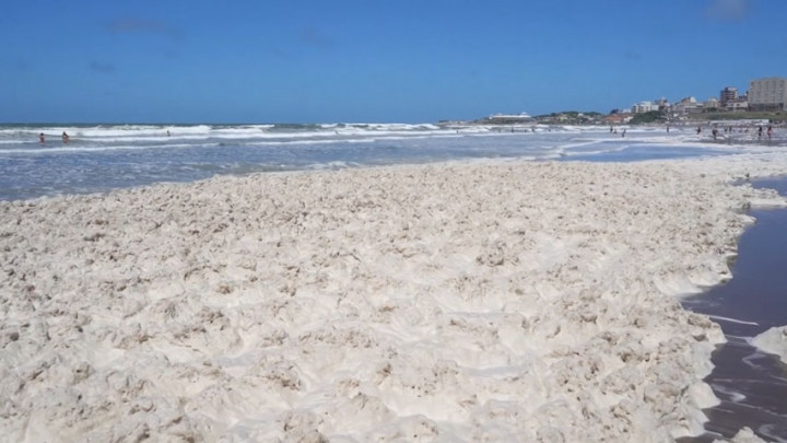 Fenomena Busa Laut Penuhi Pantai Argentina